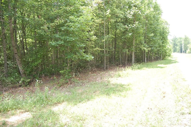 10 Laural Brook Rd, Dunlap, TN 37327 - photo 17