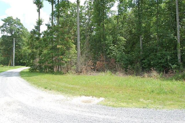 10 Laural Brook Rd, Dunlap, TN 37327 - photo 18
