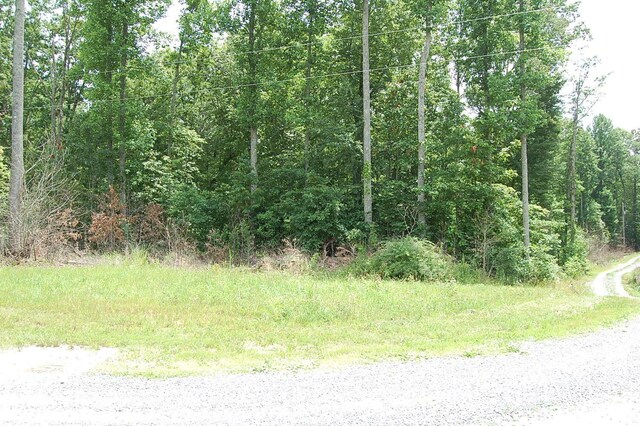 10 Laural Brook Rd, Dunlap, TN 37327 - photo 19