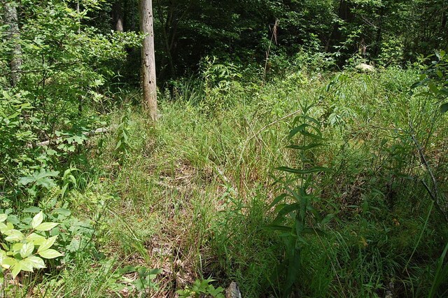 10 Laural Brook Rd, Dunlap, TN 37327 - photo 22