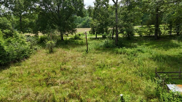 393 Sim Goodwin Rd SW, Mcdonald, TN 37353 - view of yard