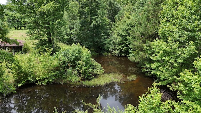 393 Sim Goodwin Rd SW, Mcdonald, TN 37353 - water view
