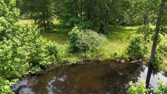 393 Sim Goodwin Rd SW, Mcdonald, TN 37353 - water view