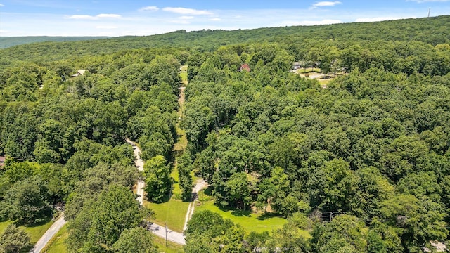 16209 Beck Rd, Sale Creek, TN 37373 - photo 3