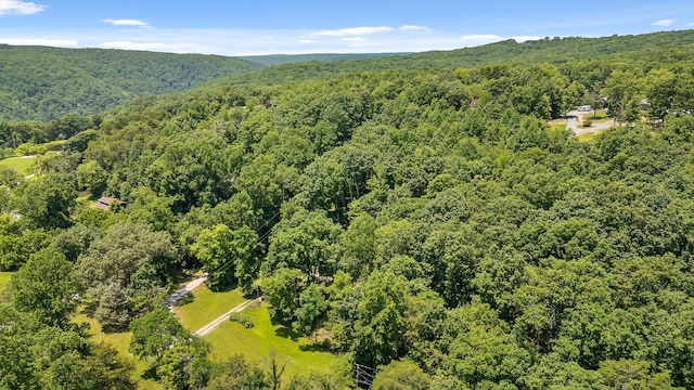 16209 Beck Rd, Sale Creek, TN 37373 - photo 4