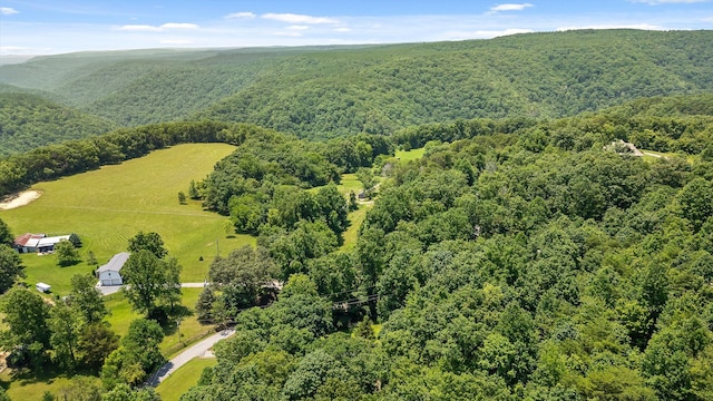 16209 Beck Rd, Sale Creek, TN 37373 - photo 5