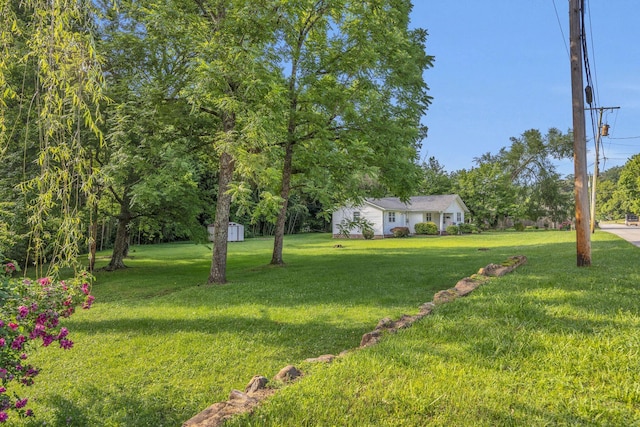 176 Depot St, Soddy Daisy, TN 37379 - view of grassy yard with a shed