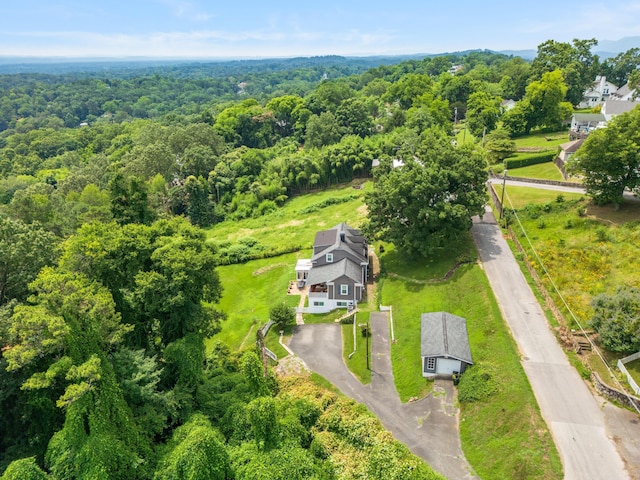 484 E View Dr, Chattanooga, TN 37404 - photo 35