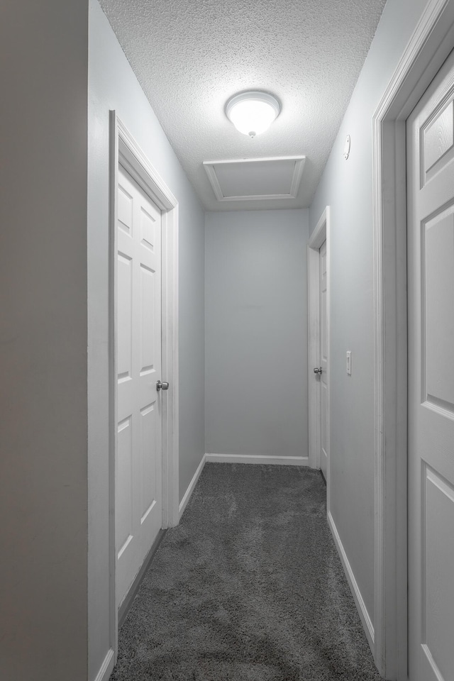 8217 Rolling Stone Ln, Ooltewah, TN 37363 - hall featuring attic access, a textured ceiling, and carpet flooring
