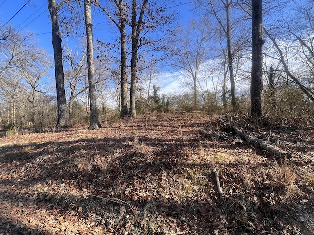 0 S Ehrich Ave, Bridgeport, AL 35740 - photo 1