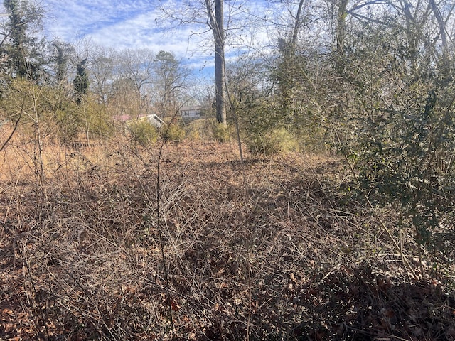 0 S Ehrich Ave, Bridgeport, AL 35740 - photo 2