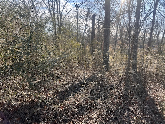 0 S Ehrich Ave, Bridgeport, AL 35740 - photo 3