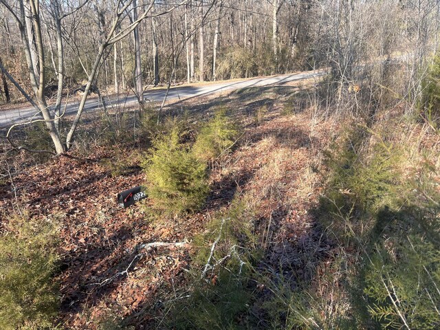 0 S Ehrich Ave, Bridgeport, AL 35740 - photo 4
