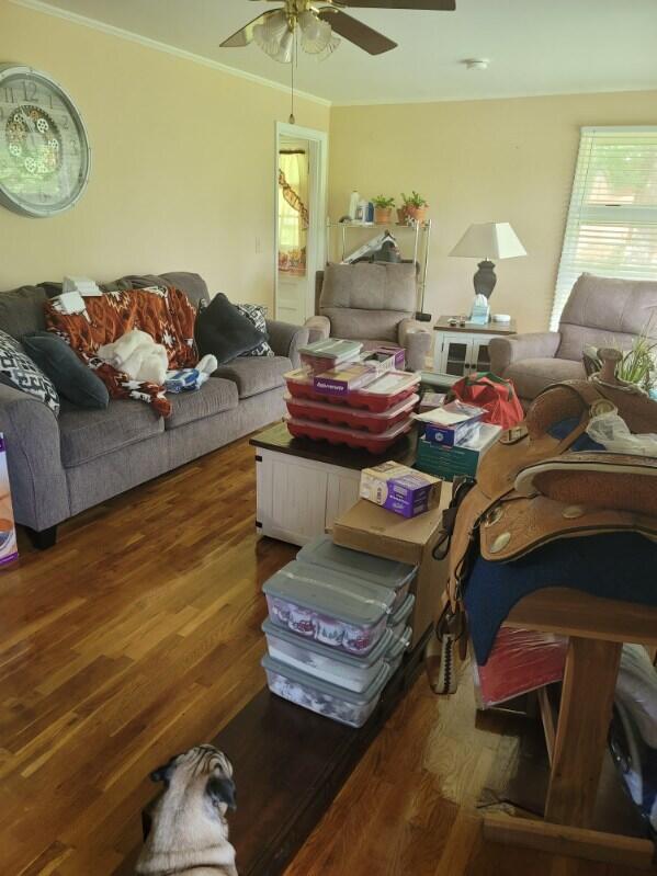 537 Robinson Dr, Loudon, TN 37774 - photo 10