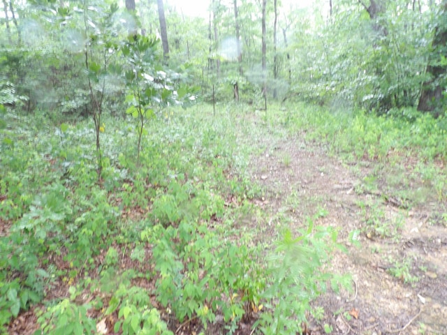 002 Simmons Rd, Pikeville, TN 37367