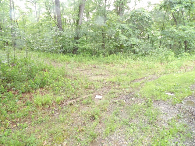 002 Simmons Rd, Pikeville, TN 37367