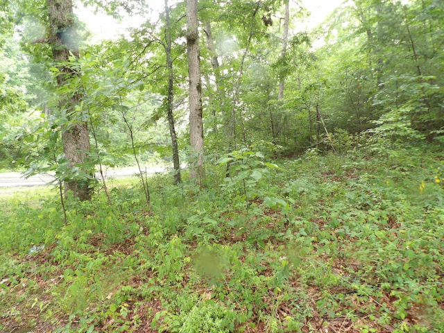 002 Simmons Rd, Pikeville, TN 37367