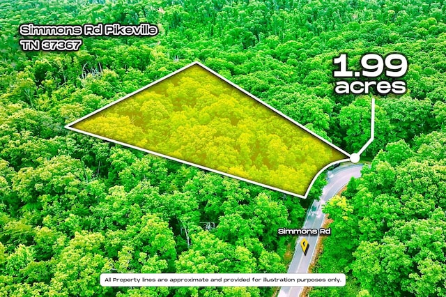 002 Simmons Rd, Pikeville, TN 37367