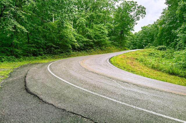 002 Simmons Rd, Pikeville, TN 37367