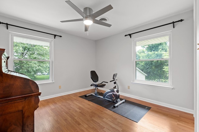 28 Lynn Rd, Signal Mountain, TN 37377 - exercise area with wood finished floors, plenty of natural light, and ceiling fan
