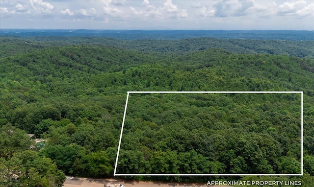 9366 Balata Dr Unit 70, Ooltewah, TN 37363