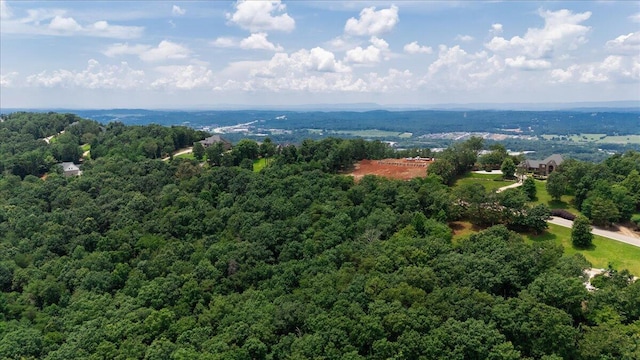 9366 Balata Dr Unit 70, Ooltewah, TN 37363