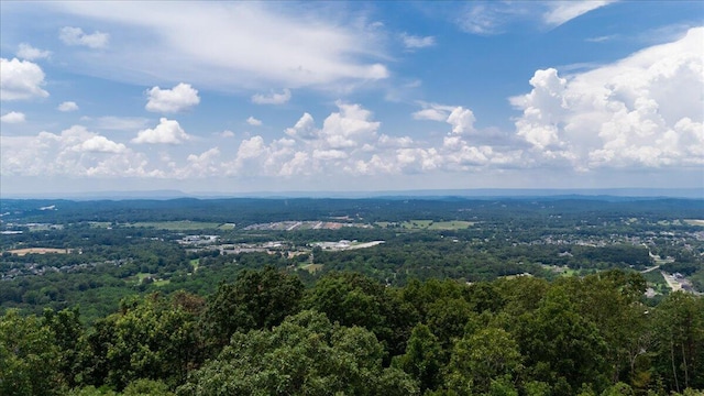 9366 Balata Dr Unit 70, Ooltewah, TN 37363