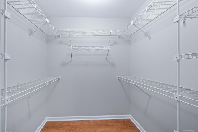 6756 Hickory Manor Cir, Chattanooga, TN 37421 - walk in closet featuring wood finished floors