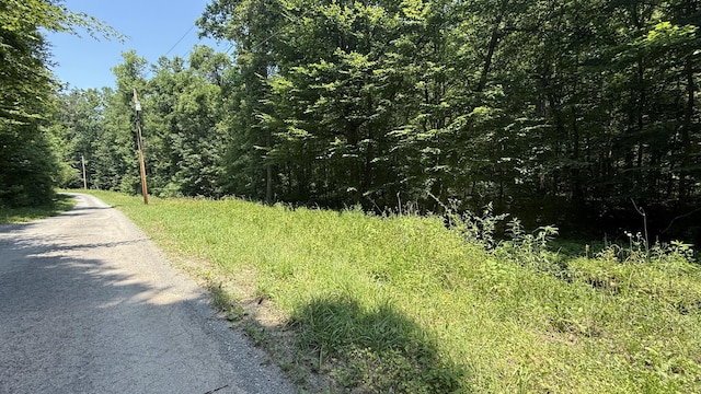 LOT13/14 Clifton Cemetery Rd, Spring City, TN 37381