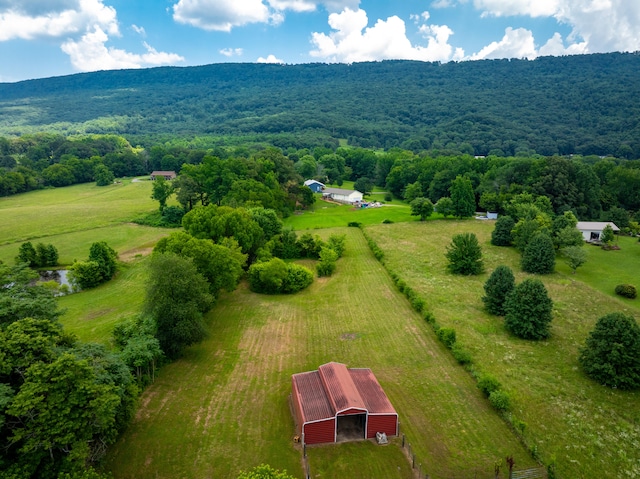 2618 Alvin York Hwy, Whitwell, TN 37397 - view of rural area with a heavily wooded area