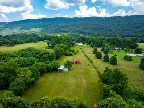 2618 Alvin York Hwy, Whitwell, TN 37397 - view of rural area with a forest