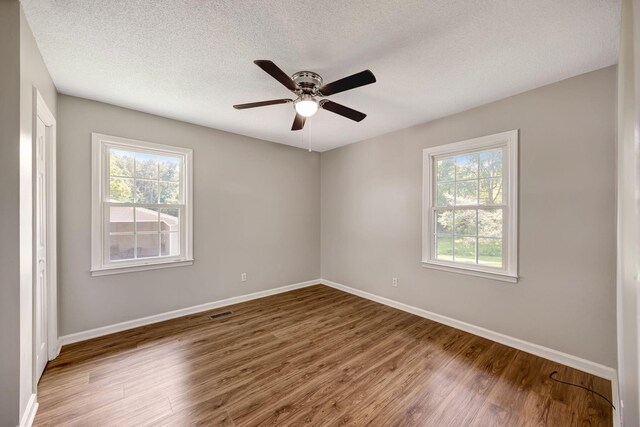 15 Moon Beam Cir, Rock Spring, GA 30739 - empty room with healthy amount of natural light, wood finished floors, a ceiling fan, and a textured ceiling