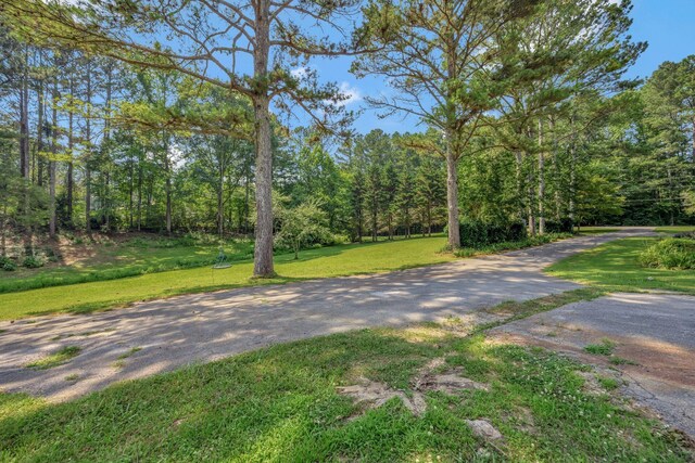 15 Moon Beam Cir, Rock Spring, GA 30739 - view of grassy yard featuring a forest view