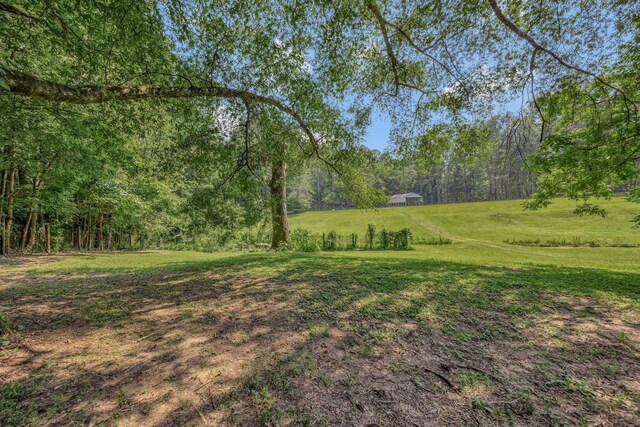 15 Moon Beam Cir, Rock Spring, GA 30739 - view of green lawn