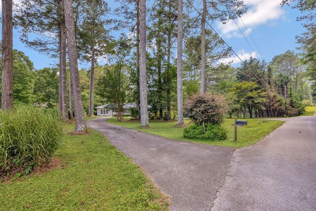 15 Moon Beam Cir, Rock Spring, GA 30739 - view of community featuring a lawn and driveway