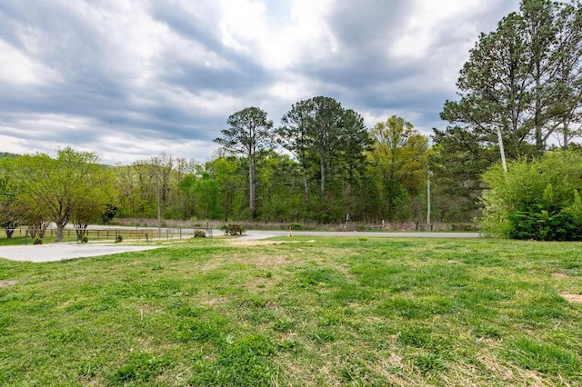 318 Yates Springs Rd, Ringgold, GA 30736 - view of grassy yard featuring a wooded view