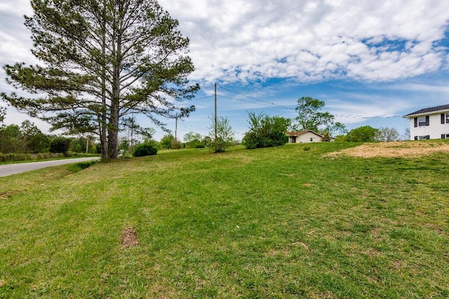 318 Yates Springs Rd, Ringgold, GA 30736 - view of grassy yard