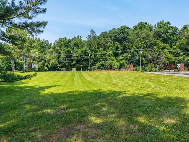 0 Mountain Creek Rd, Chattanooga, TN 37405 - photo 9