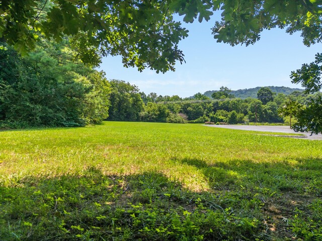 0 Mountain Creek Rd, Chattanooga, TN 37405 - photo 10