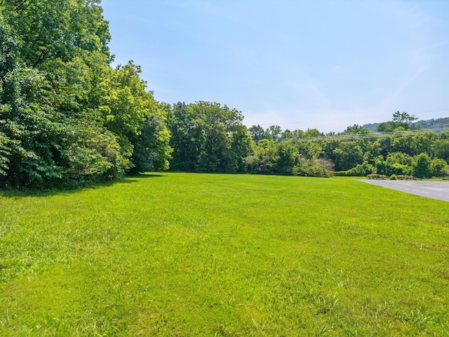 0 Mountain Creek Rd, Chattanooga, TN 37405 - photo 11