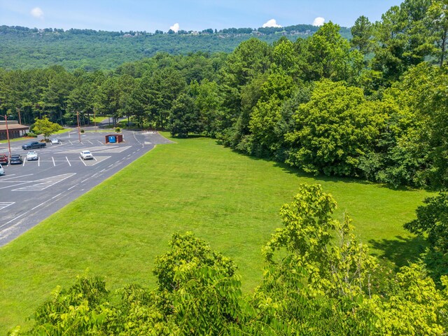 0 Mountain Creek Rd, Chattanooga, TN 37405 - photo 14