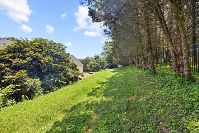75 Sequoyah Trl, Ringgold, GA 30736 - view of yard