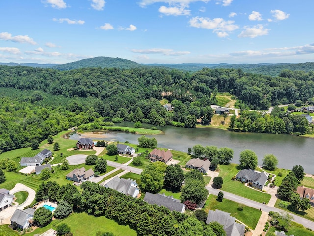 75 Sequoyah Trl, Ringgold, GA 30736 - bird's eye view of a forest and a large body of water