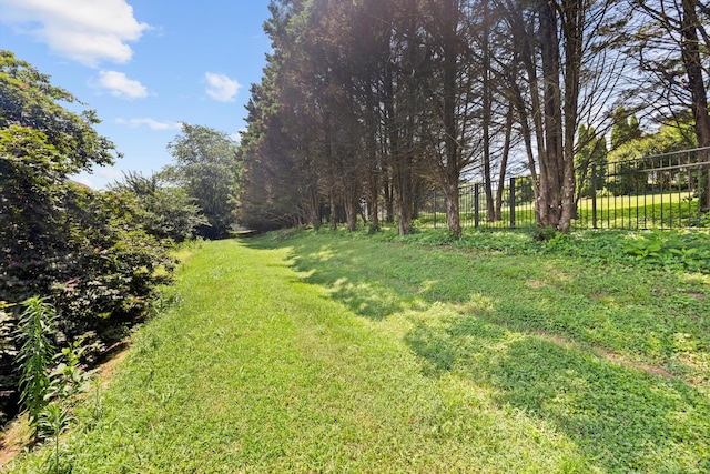 75 Sequoyah Trl, Ringgold, GA 30736 - view of yard