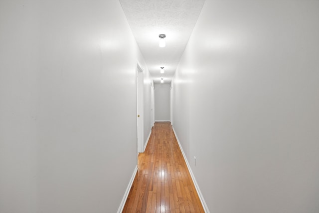 75 Sequoyah Trl, Ringgold, GA 30736 - hall featuring light wood-style floors and a textured ceiling
