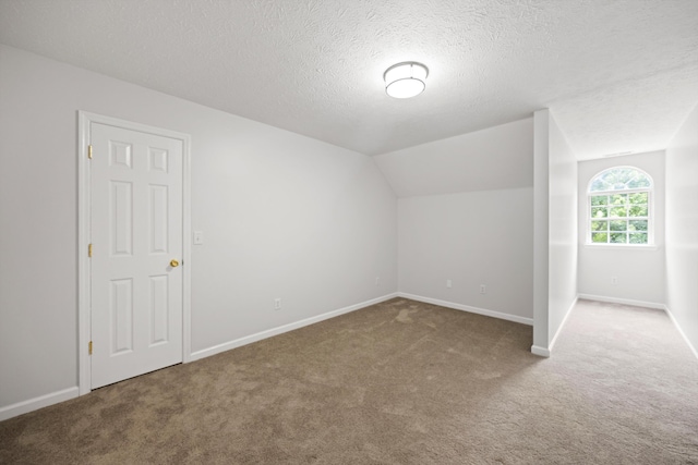 75 Sequoyah Trl, Ringgold, GA 30736 - additional living space featuring carpet flooring, a textured ceiling, and vaulted ceiling