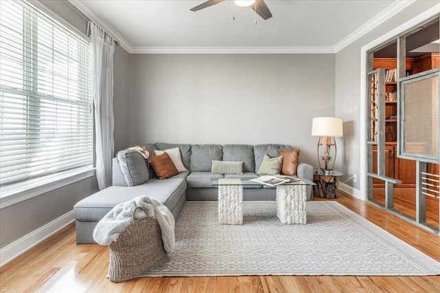 7918 Chianti Way, Chattanooga, TN 37421 - living room featuring crown molding, a ceiling fan, and wood finished floors