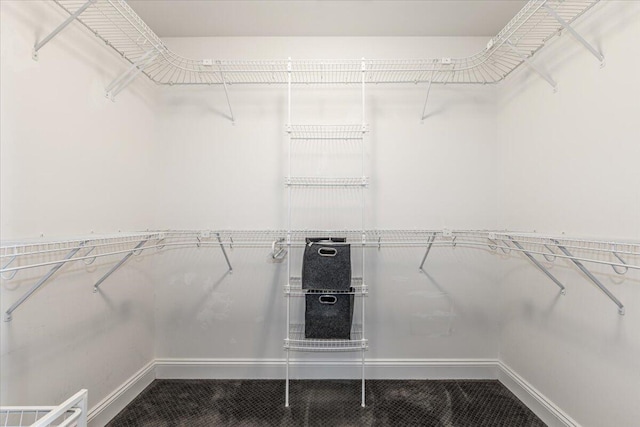 7918 Chianti Way, Chattanooga, TN 37421 - view of walk in closet