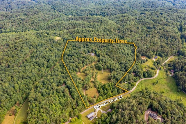 552 Dalrymple Cir, Ellijay, GA 30540 - photo 6