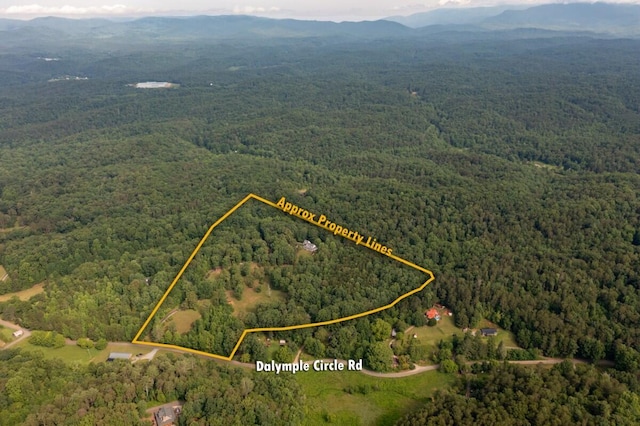 552 Dalrymple Cir, Ellijay, GA 30540 - photo 7